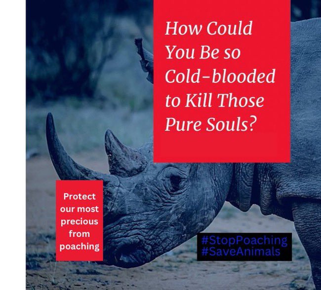 Poaching endangers not only the hunted, but also other animals in their ecosystem. 

Don’t let our next generation only know them by history book.  angelforceofafrica.com