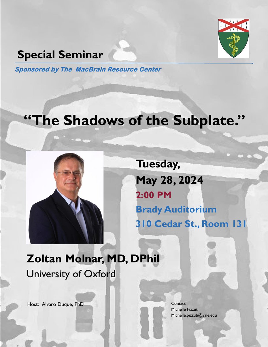 📢Today at 2pm🕑, @ZoltanMolnar64 from the @UniofOxford will be presenting a ✨special seminar✨ on 'The Shadows of the Subplate.' Thank you to Alvaro Duque for hosting 🙌 We hope to see you all there!