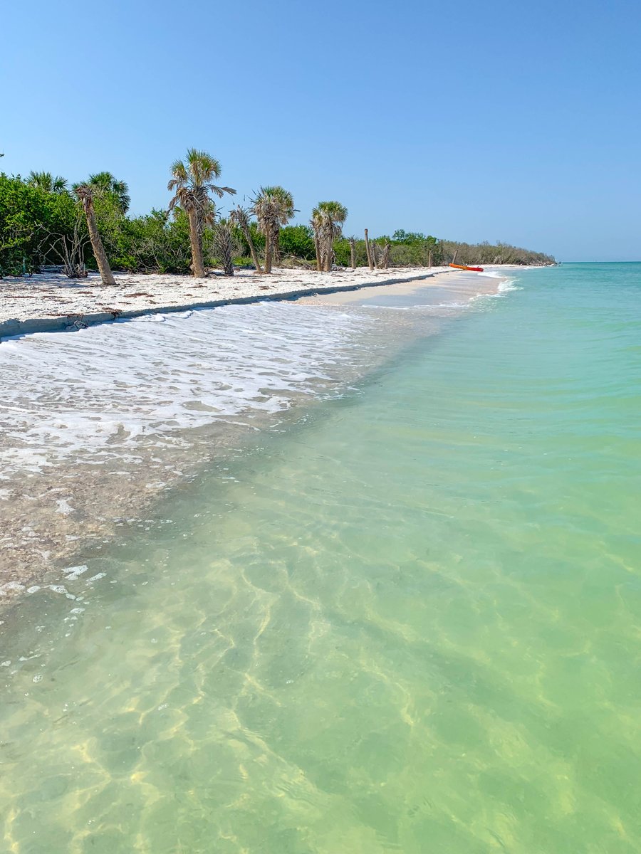 Visit St. Pete-Clearwater tweet media