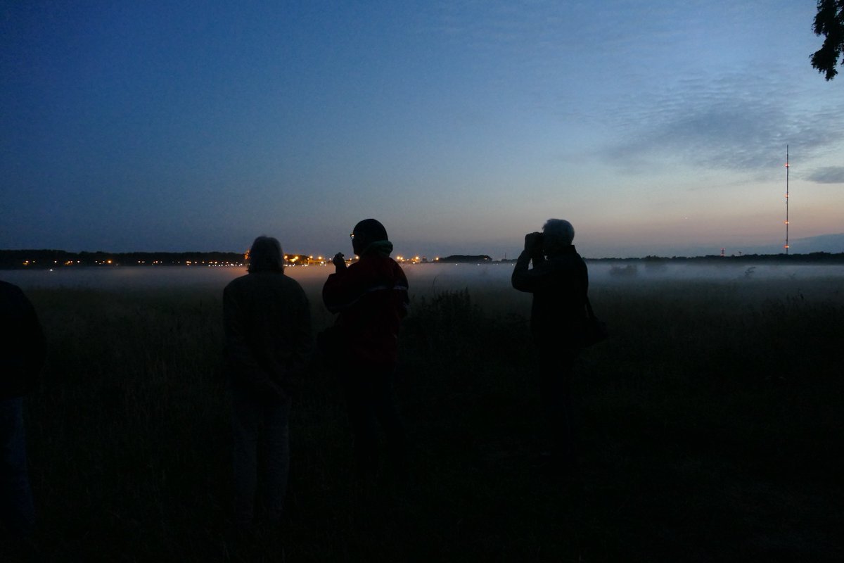 Erstmalig in 2024 bietet die Dorfgemeinschaft Billwärder wieder Naturführungen  an:

Wanderung zu Nachtigallen und anderen Sängern.🦉

-Freitag  31.05.
-Samstag  01.06.

Treffpunkt: Remise, Billwerder Billdeich 254
Dauer: 20-22Uhr.
#Hamburg #Bergedorf #Billwerder #Vogel