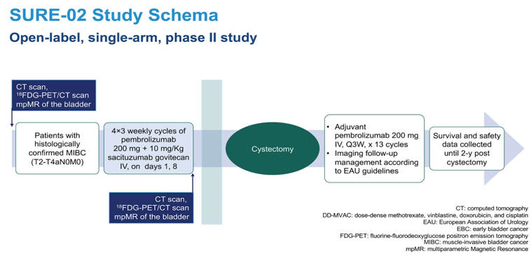 LBA4517: @AndreaNecchi Perioperative sacituzumab govitecan (SG) alone or in combination with pembrolizumab (Pembro) for patients with muscle-invasive urothelial bladder cancer (MIBC): SURE-01/02 interim results. I am eagerly anticipating the results of this study, which reports