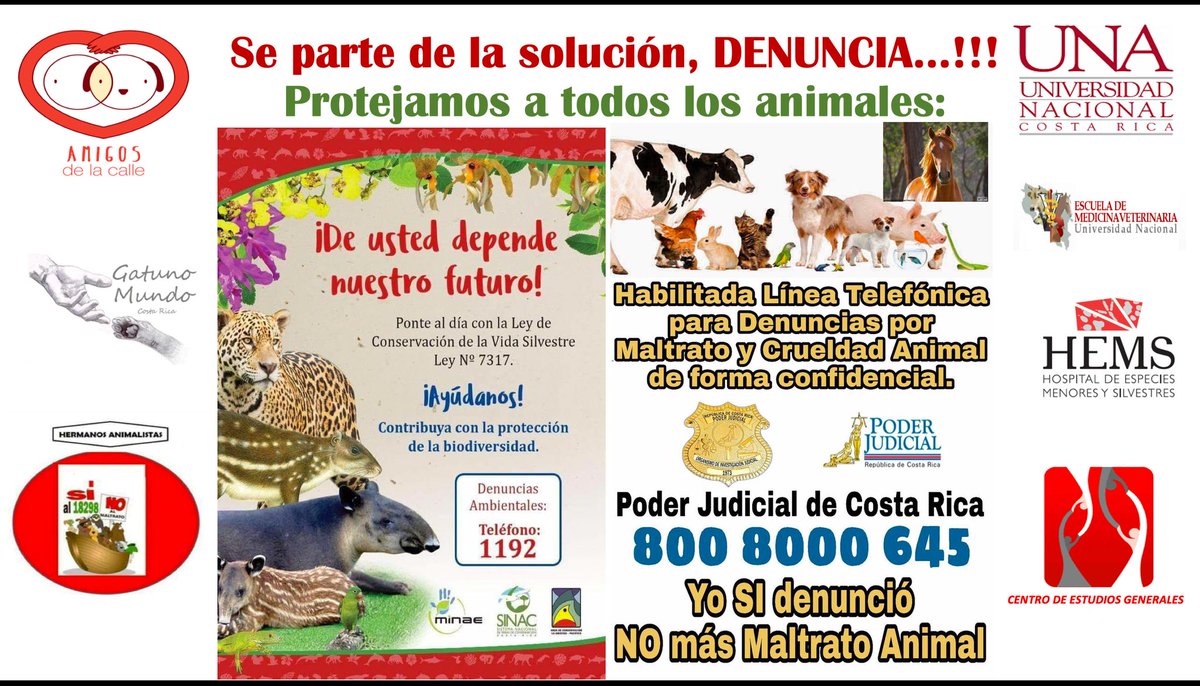 🇨🇷🐒🐈🐕🐎🦔🦥🐓🦜🐢🦎🐍

📍DENUNCIEMOS EL MALTRATO, LA CRUELDAD Y EL ABANDONO ANIMAL...!!!📍

-Dependiendo de la situación, puedes solicitar que la denuncia sea anónima...!!!
-Conduce con cuidado y despacio cerca de las áreas protegidas y en la ciudad!!!
-No al comercio ilegal y