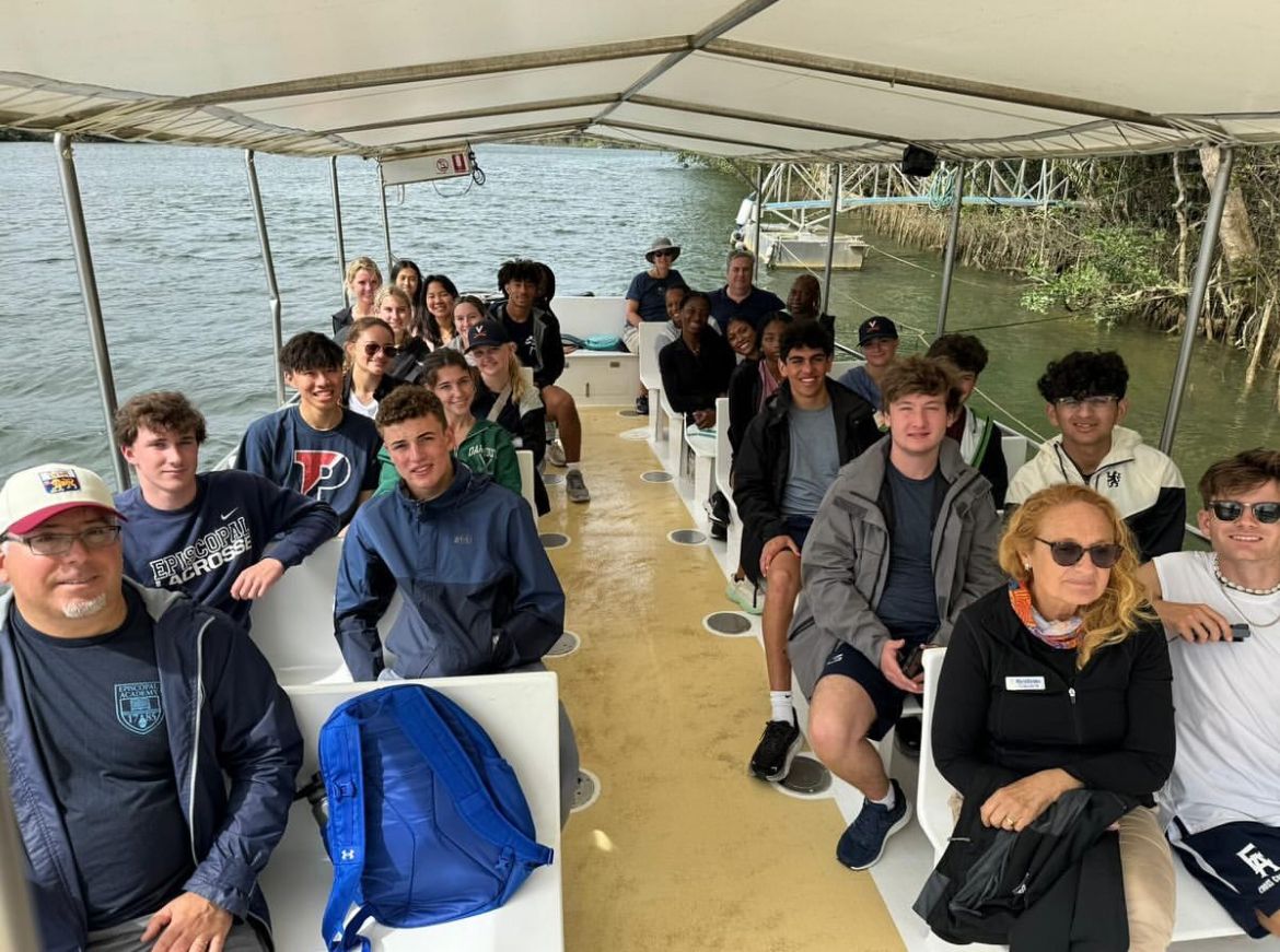 EAMayTerm's tweet photo. The Australia #EAMayTerm group has been on the move! They recently saw 5 “salties” (saltwater crocs) on the Daintree River, enjoyed a breathtaking view from Cape Tribulation, took the scenic railway up to Kuranda, and held koalas &amp; fed kangaroos in the wildlife sanctuary! https://t.co/kx4H35BcMW