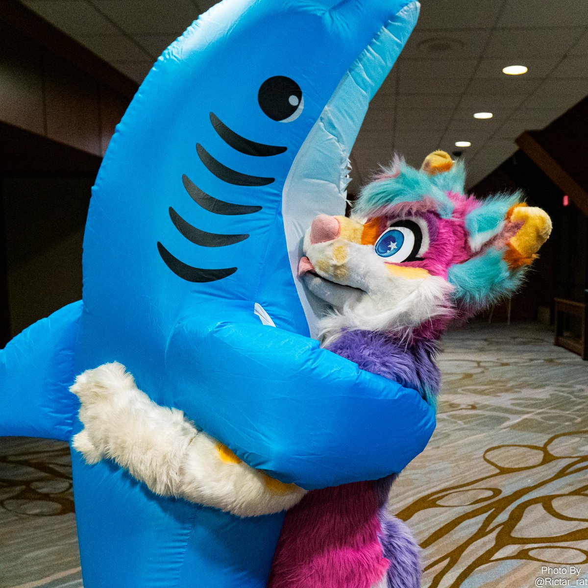 Giving a hug to a...shark? 📷= @Rictar_Rat #furry #fursuit