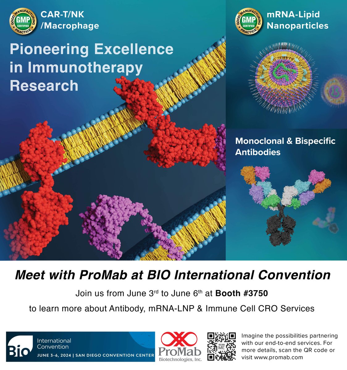 ProMabBiotech's tweet image. Join us at the San Diego BIO International Convention from June 3rd to June 6th at Booth #3750! Discover more about our antibody, mRNA-LNP, and Immune Cell CRO services. Learn more about us at : hubs.li/Q02yFy5H0 #BioTechRevolution #InnovatewithPMB #ProMabBioTech