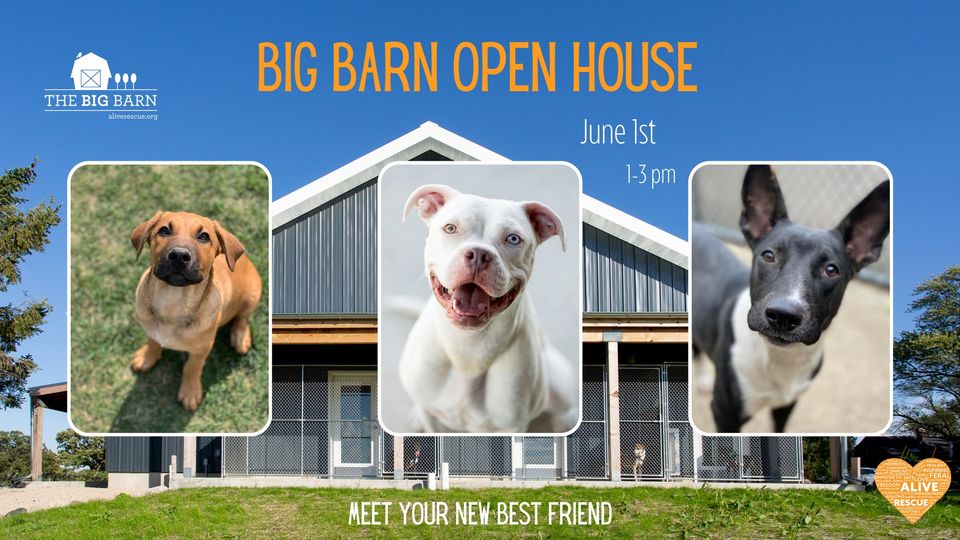 Hey #Chicago! .@aliverescue Big Barn #openhouse #dogs #Adoption #Event 

Saturday 6/01, 1 - 3 PM #Wisconsin 

#AdoptDontShop #AdoptDontBuy #adoptaseniorpet #AdoptAShelterPet #AdoptAShelterDog #pets 

facebook.com/events/1095336…