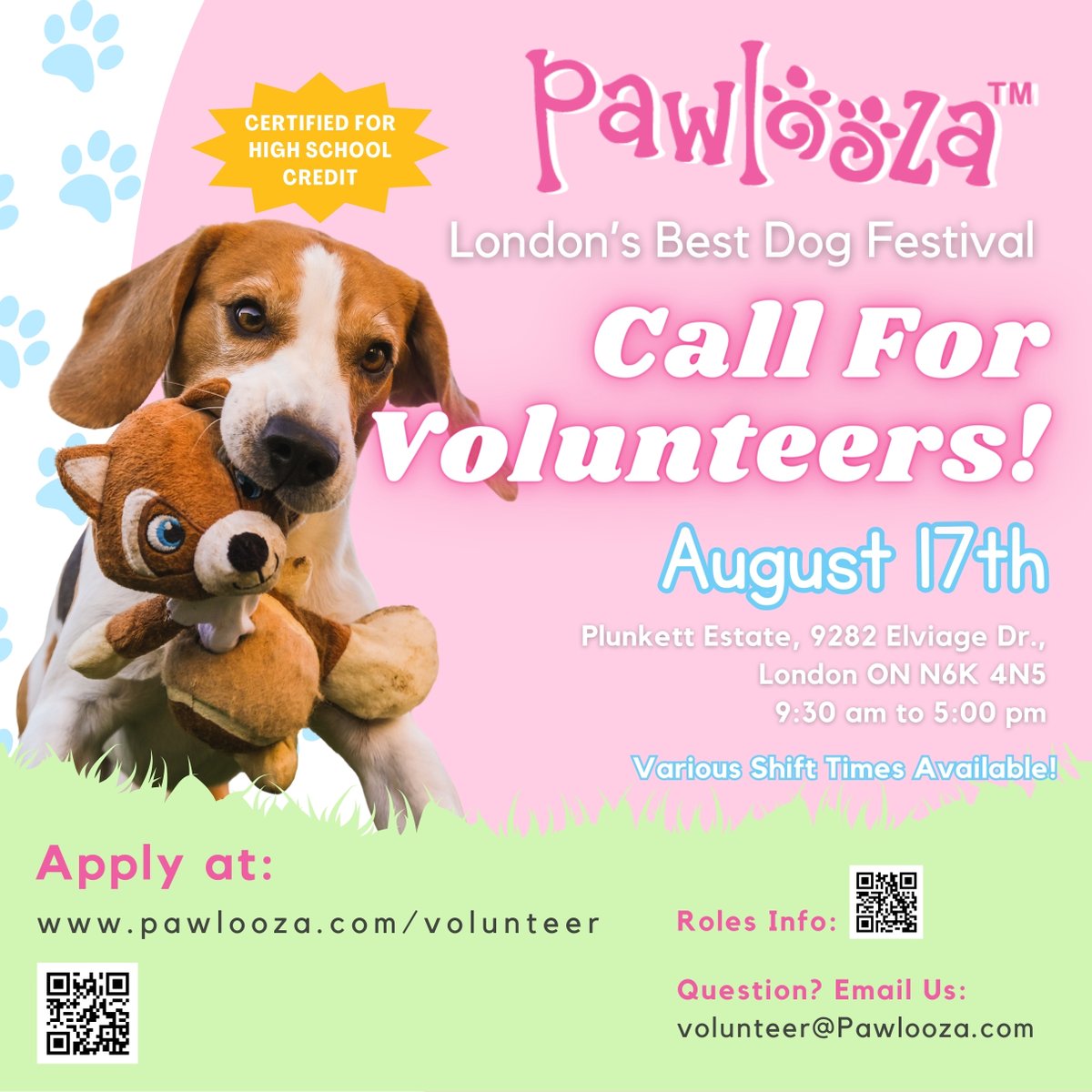 pawlooza's tweet photo. VOLUNTEER APPLICATIONS are now open for Canada's Favourite Dog Festival, August 17 2024. We are 100% NON profit, and rely on volunteers to create this pawsitive day for all doggies &amp; raise funds for non profits. Applications are found on our website: https://t.co/AVcyfQ1pcQ https://t.co/qMVeXtWgz1