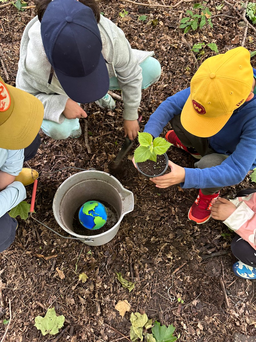 Rich Scott (he/him) (@spankyfinch) on Twitter photo <a href="/McKeeSchool/">McKeePublicSchool</a> #grade2 #planting #takingaction #spring #4basicneeds <a href="/ForestValleyOEC/">Forest Valley OEC</a> How are animals growing and changing at Forest Valley today? <a href="/TOES_TDSB/">TOES_TDSB</a> #outdooreducation #getoutsidemonth 🌱 <a href="/McKeeSchool/">McKeePublicSchool</a> #grade2 #planting #takingaction #spring #4basicneeds <a href="/ForestValleyOEC/">Forest Valley OEC</a> How are animals growing and changing at Forest Valley today? <a href="/TOES_TDSB/">TOES_TDSB</a> #outdooreducation #getoutsidemonth 🌱