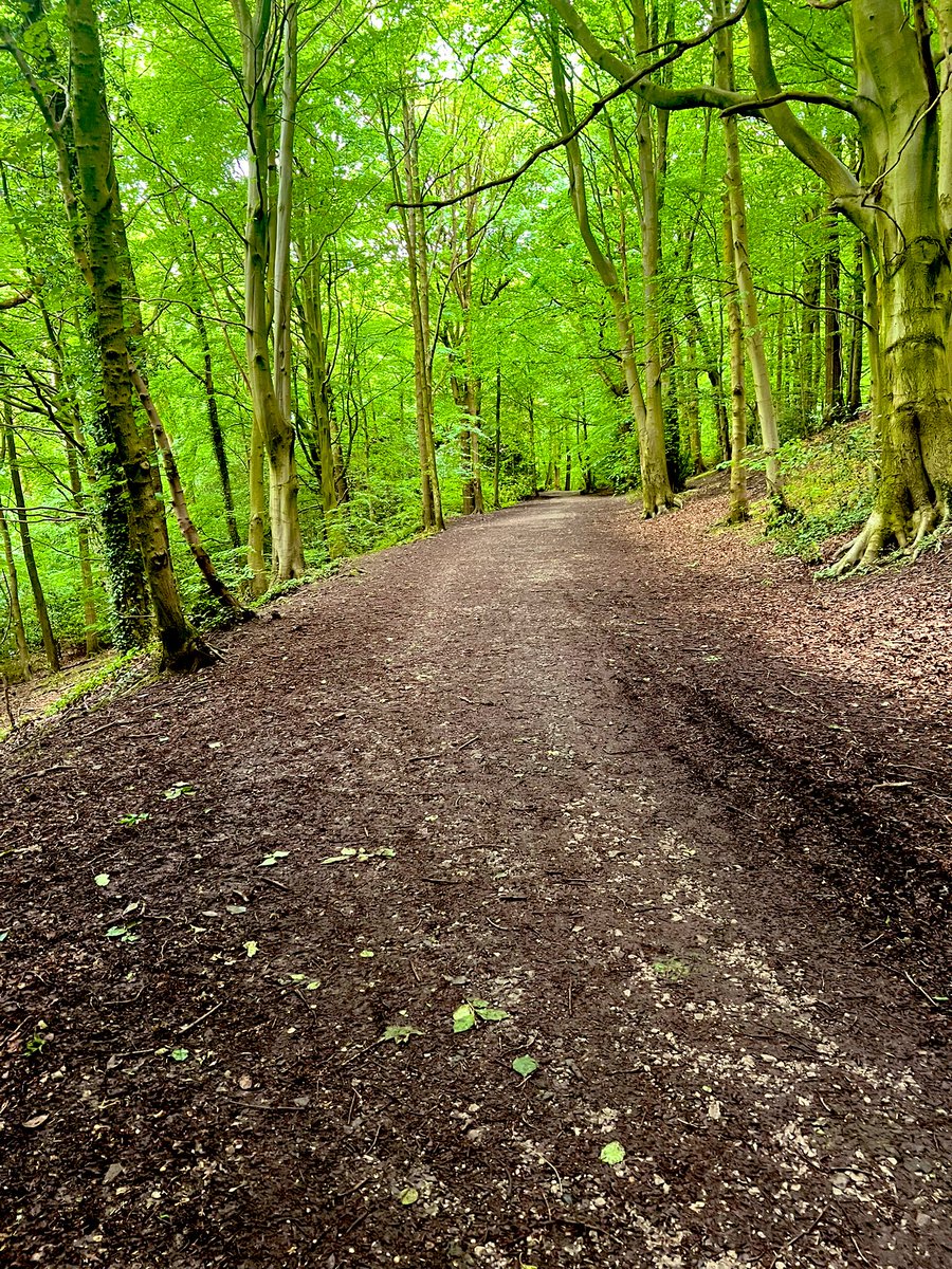 More running. More exploring. using the navigation on my @GarminUK Found a new trail today! @TeachersRunClub @WeAreERC #trail #trails #running #rain #woods