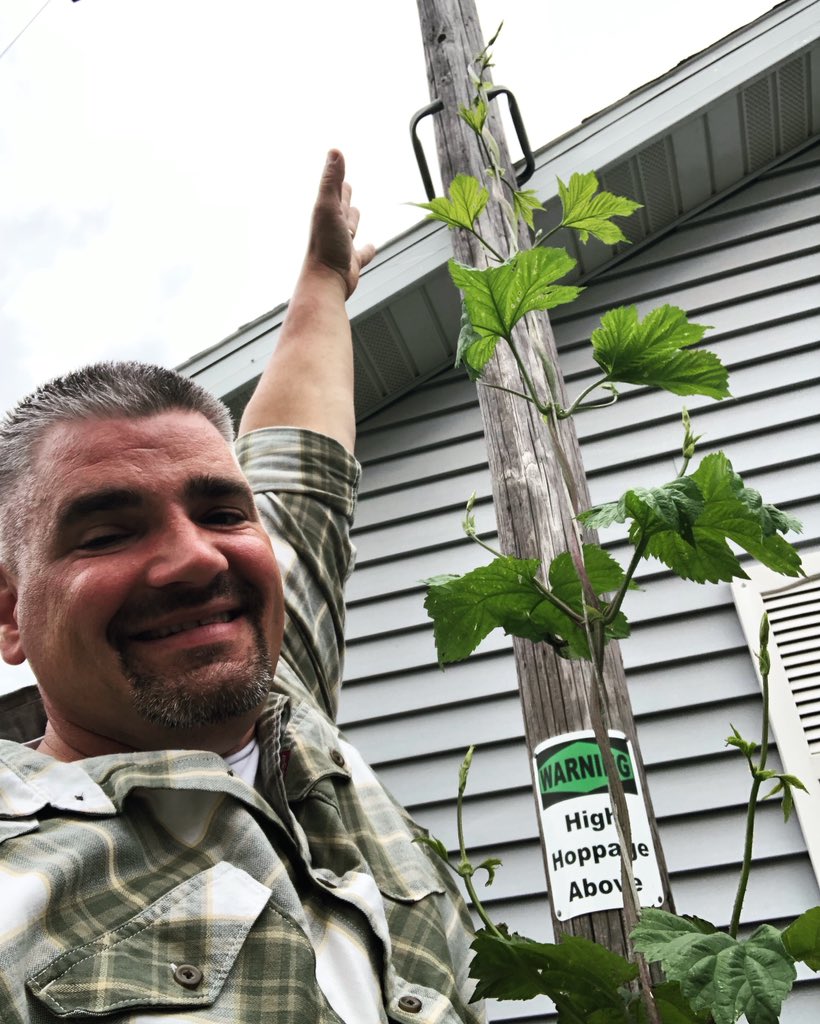 High Hoppage tweet media