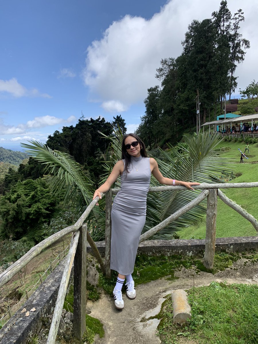 Laura🦋 tweet media