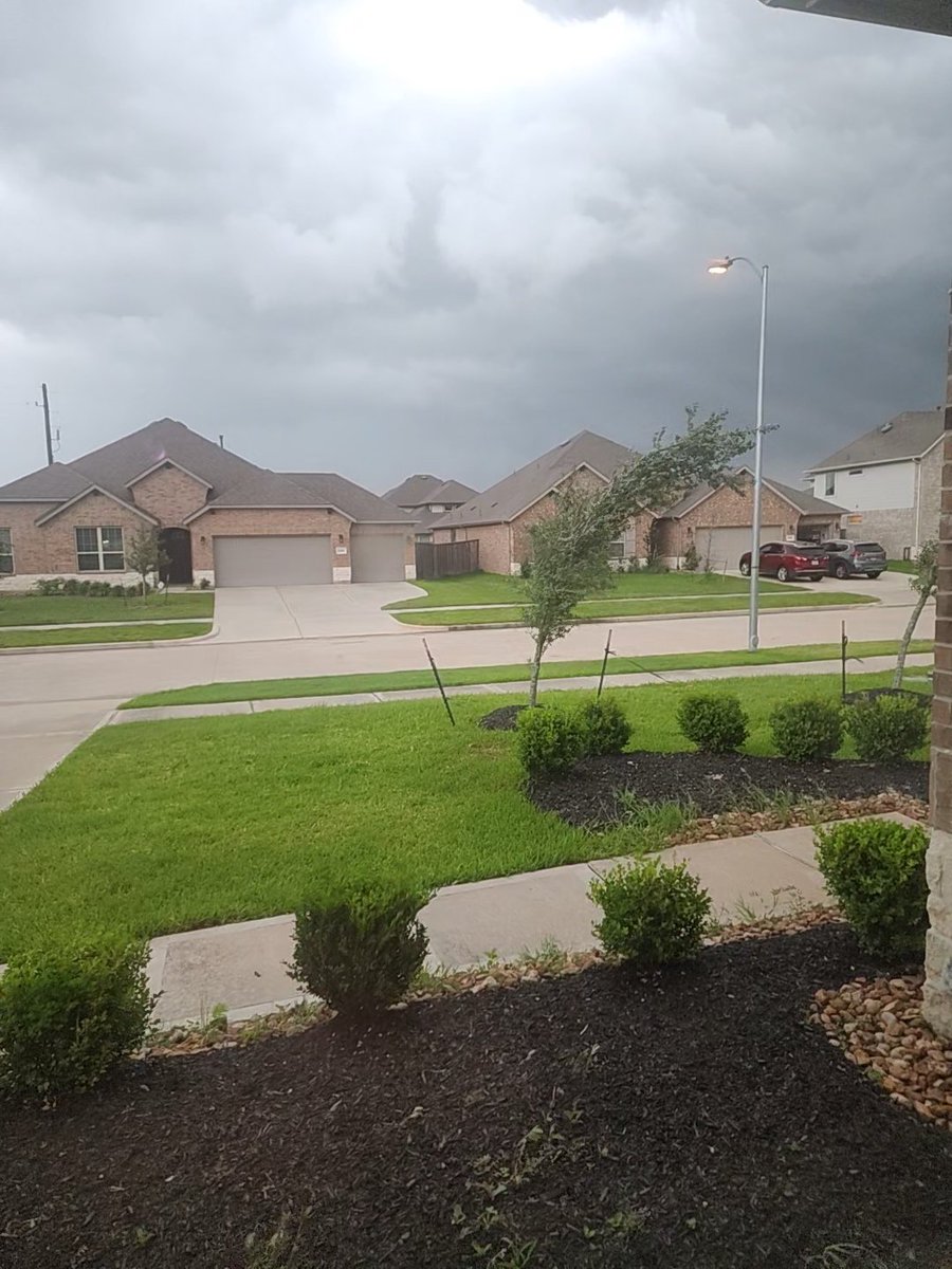 CrisTris17's tweet photo. @mattlanza Sideways trees in Tomball 😳 https://t.co/fKQpqYSfMt