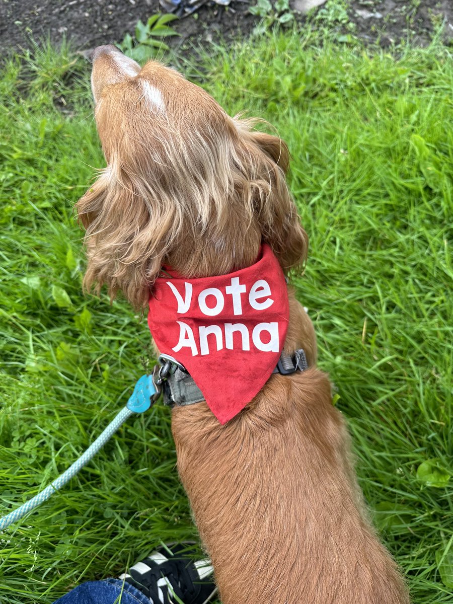 Anna McMorrin MP tweet media