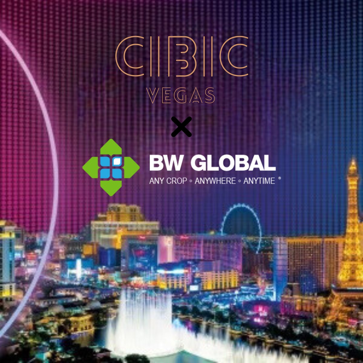 BWGLOBAL1's tweet photo. VIVA LAS VEGAS! Great to connect &amp; reconnect with clients &amp; suppliers at the Craft Brewers Conference 2024 that was in Las Vegas! The future of craft brewing, and beverage industry is with BW GLOBAL! Call or email us to find out how and why! https://t.co/SCGOMGg6CB