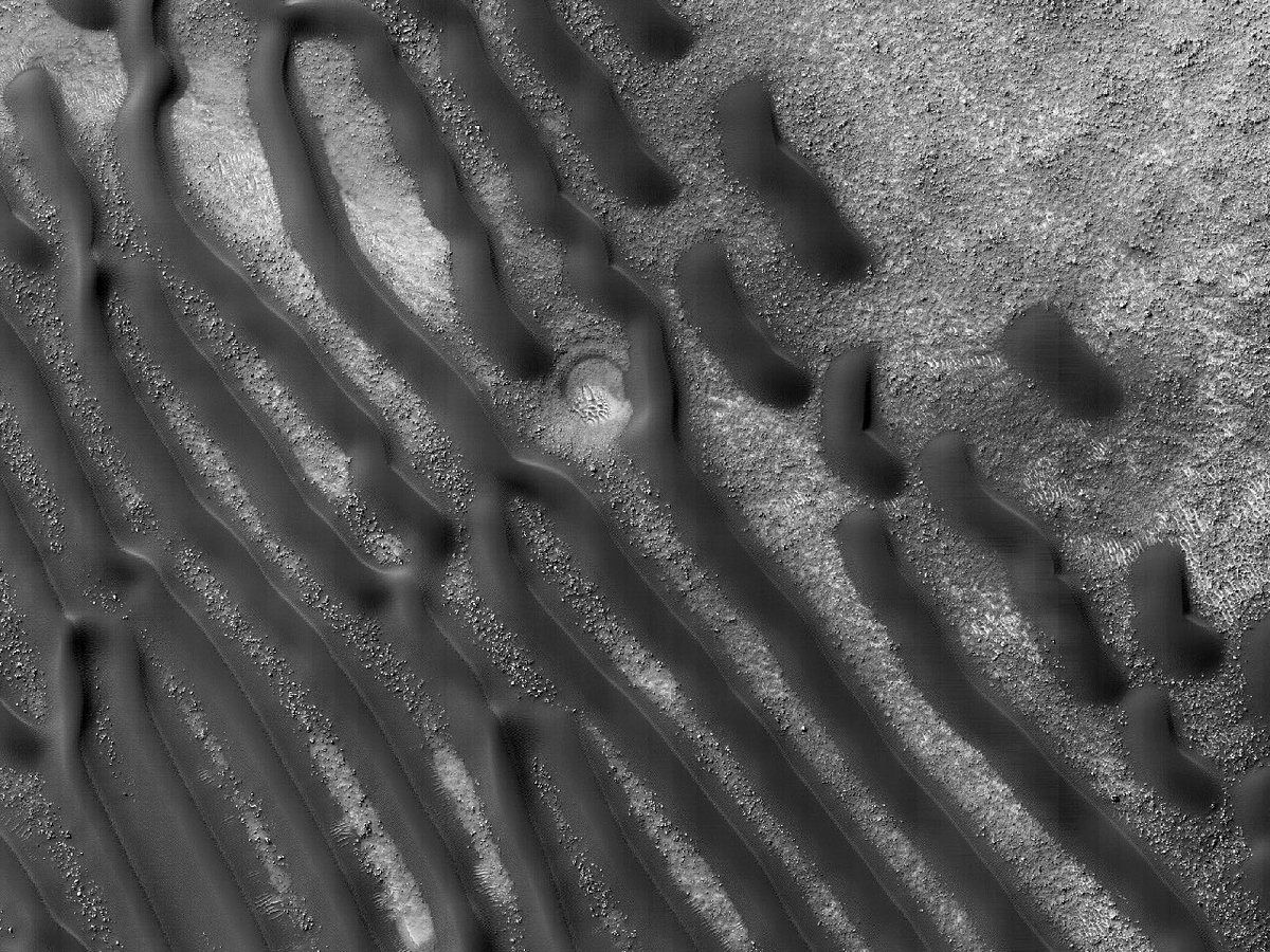 HiRISEDeutsch's tweet image. Die Herausforderung des Theseus

Nummer: ESP_033811_1370
Erfassungsdatum: 13. Oktober 2013 
Distanz: 251 km

uahirise.org/hipod/de/ESP_0…
NASA/JPL-Caltech/UArizona
#Mars #NASA #Deutsch #German #Wissenschaft