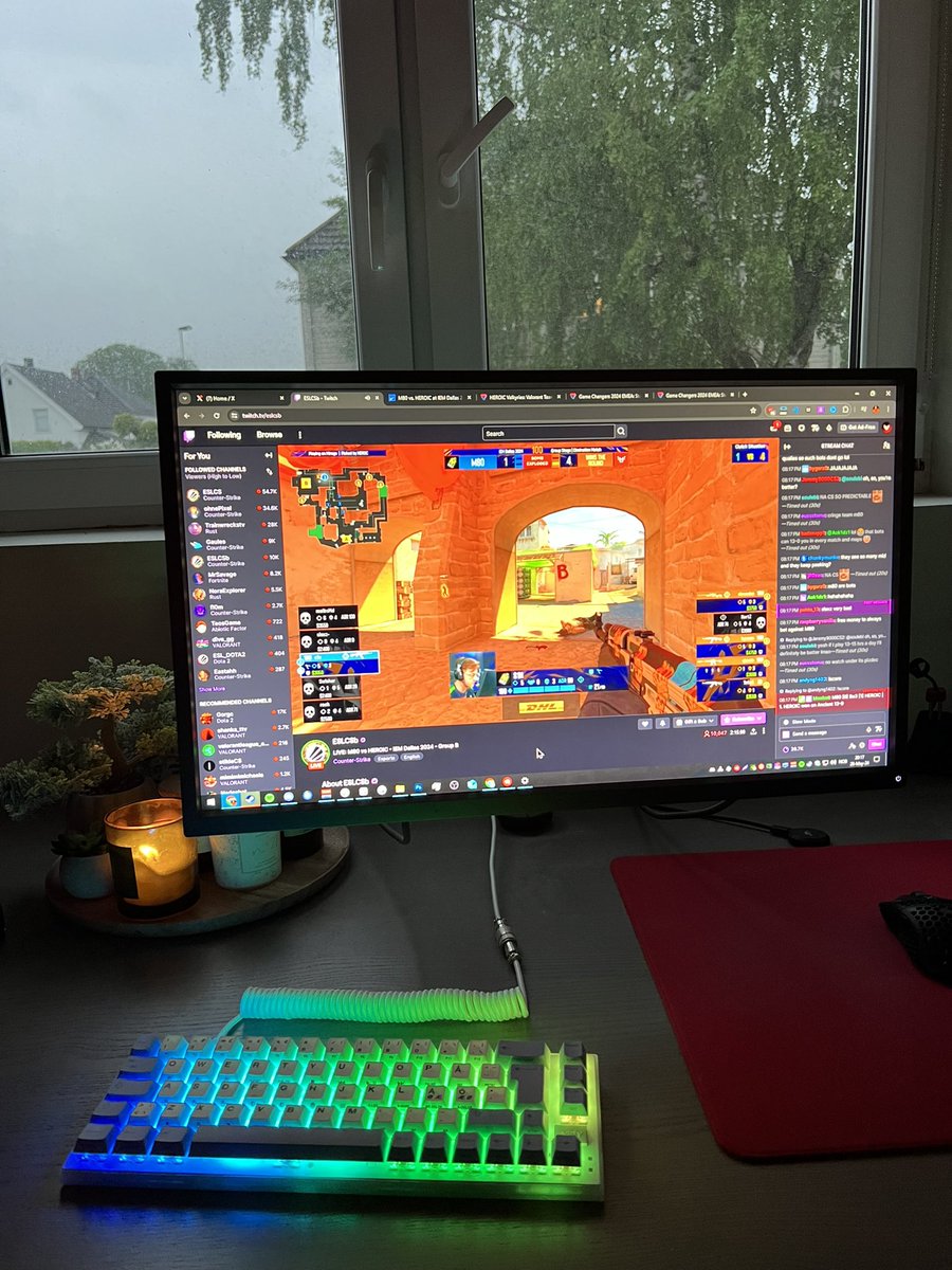 will🌴 tweet media