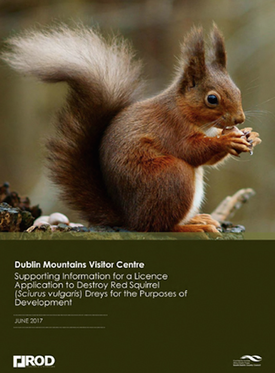 SavetheHellfire's tweet photo. Beautiful capture by Shane Coyle. Sadly the Hellfire red squirrels 'peaceful moments' are going to be destroyed by @sdublincoco @coilltenews plans to build an overscaled €35M coffee shop at the Hellfire.
#forestsfornature #greenwashing
#petition https://t.co/wmuU51OVUF 🐿️ https://t.co/7d43OiwfIA