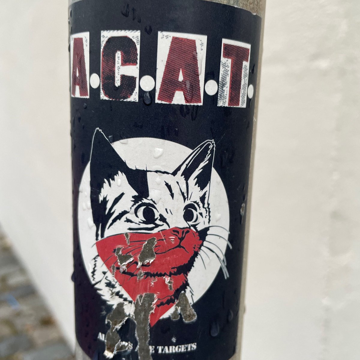 🐱  ACA(B)T
#ultrasstickers #footballstickers #footballculture #Ultras #StickerHunting