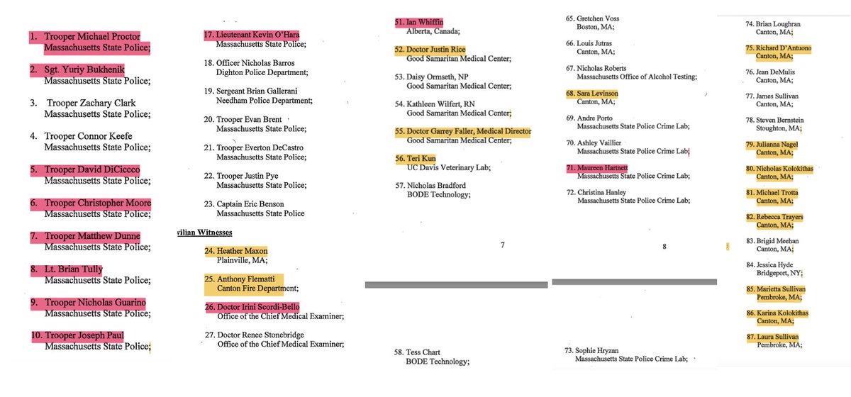 The Commonwealth still has 38 witnesses left on their list. Yellow are witnesses they've already called. Pink are witnesses who would normally be called in a murder trial, considering their involvement in the case, and the likelihood that they will provide favorable testimony for