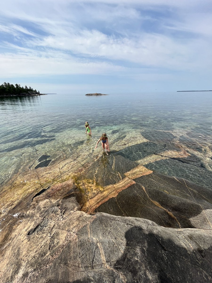 🌻 Scott O'Donohue 🌻 tweet media