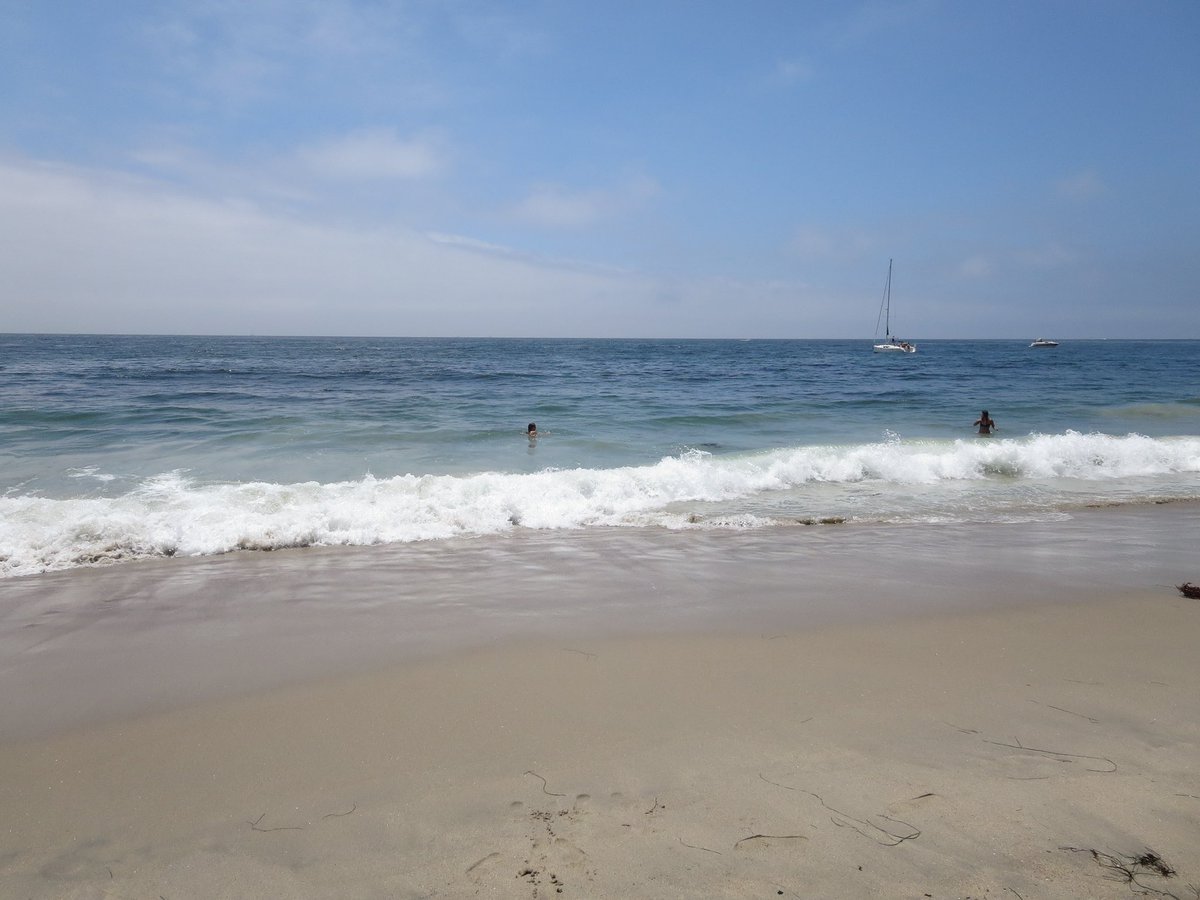 cynthiaab_'s tweet photo. ☀️🌊🐚 https://t.co/TnoUek3DKy