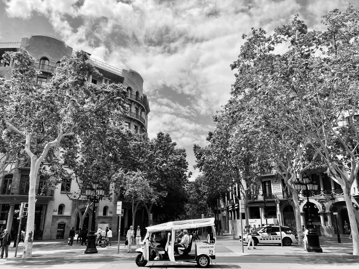 xavier22abs's tweet photo. Barcelona Passeig de Gràcia #Cataluña #spain https://t.co/DVJvArEKpV