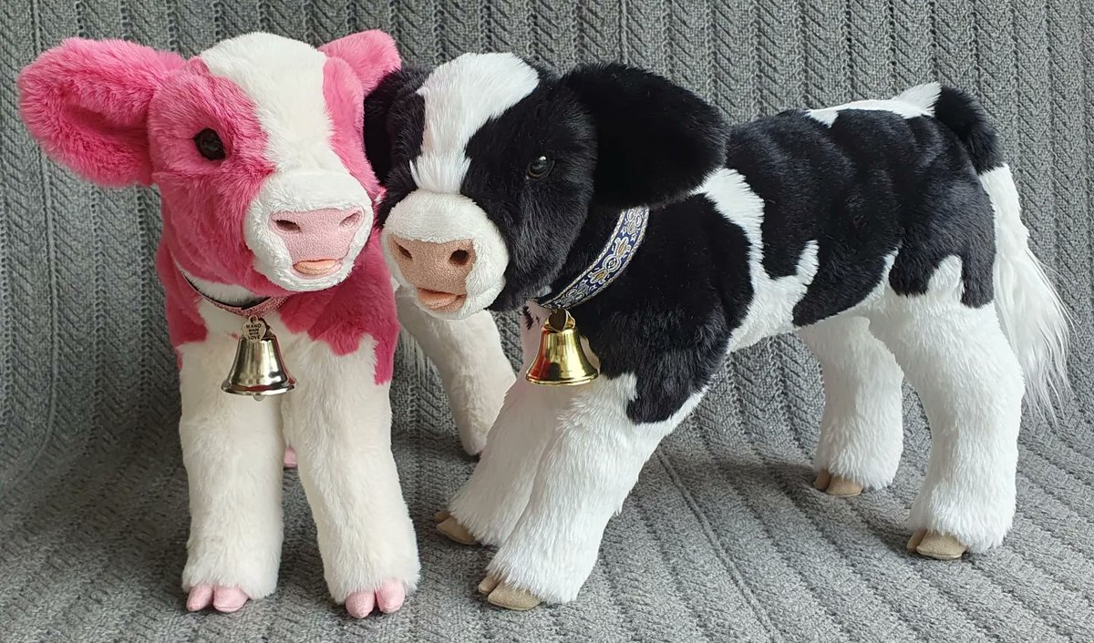 The twins are off to their loving homes. I'm going to miss them! 🥲🪡🧵🧶🐄