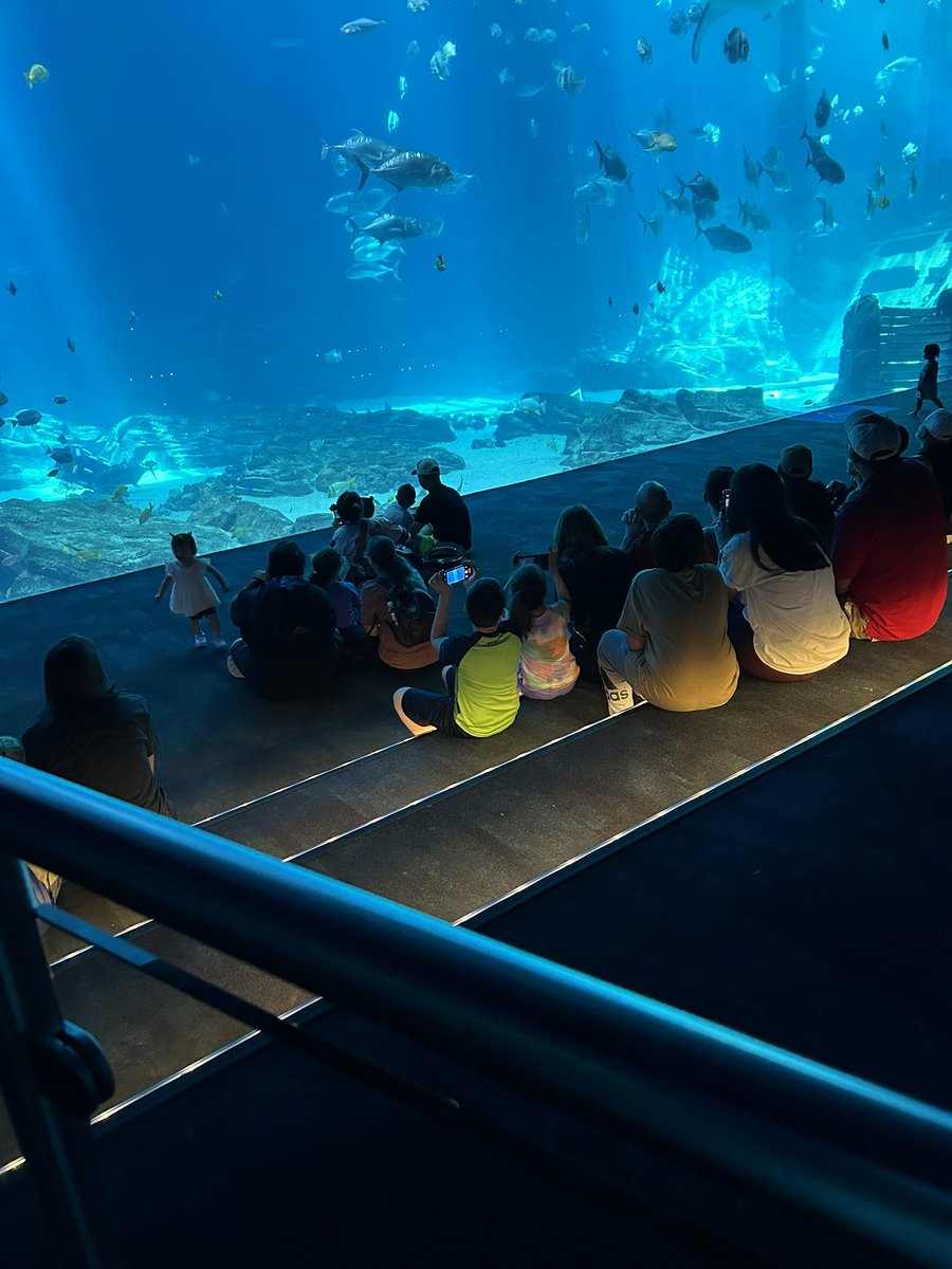 koosjunie's tweet image. barricade! at the aquarium i hope i get a whale shark notice