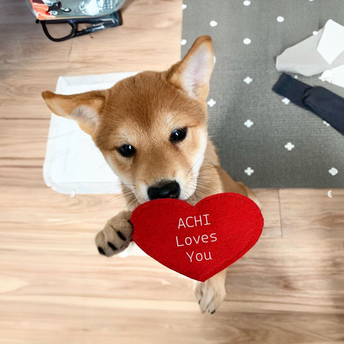 SniperResearch tweet media