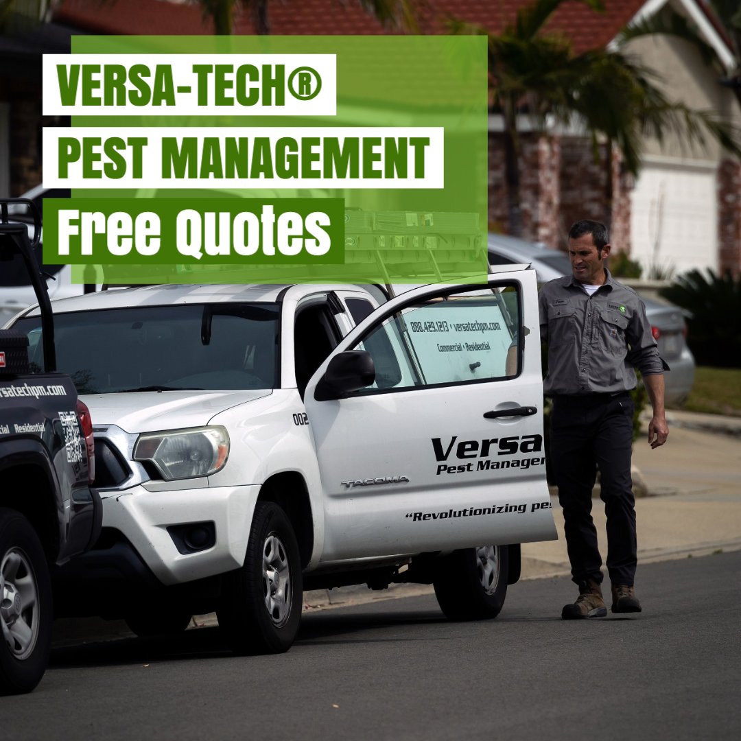 VersaTechPM's tweet photo. Are you looking for the absolute best #pest & #rodentcontrol in San Dimas, Los Angeles County or surrounding? Versa-Tech® is here for you with personalized, guaranteed pest removal solutions you can count on. Get your free quote & protect what matters most! #VersaTech #ratcontrol https://t.co/FRSwdzETEL