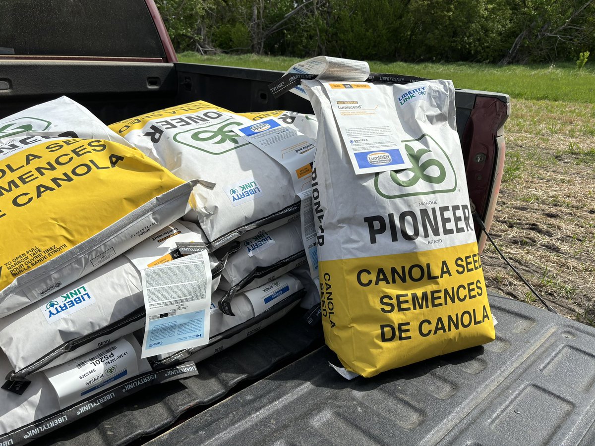 Loading up to seed the Vegreville <a href="/Foodgrains/">Canadian Foodgrains Bank</a> growing project. Huge thanks to <a href="/PioneerSeeds/">Pioneer Seeds U.S.</a> <a href="/DwayneAndrashew/">Dwayne Andrashewski</a> <a href="/farminginpearls/">J Andrashewski</a> for donating the canola seed!