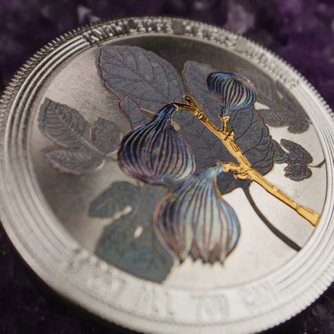 To be free, we need you. 
complexly.info/cccoin24-5