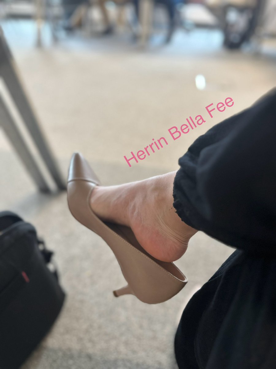 Was würdest du jetzt dafür geben einfach im Meeting unter dem Tisch knien zu dürfen 😏…  

Los, eine Etage tiefer Zahlschweinchen 🧎und zeig dich erkenntlich 
💸💸💶💸💸

#payslave #paypig #zahlschwein #geldgeil #findom #FINDOM4EVER #findomadd #FOOTFETİSH #footfetısh