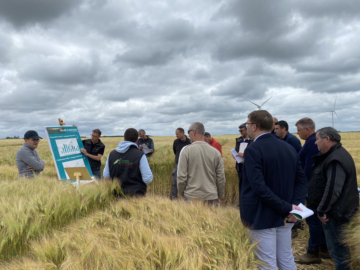 stefanie79 tweet media