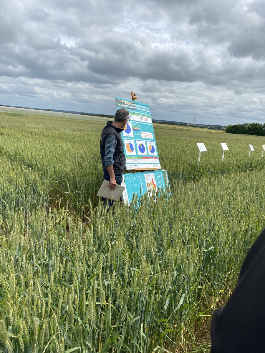 stefanie79 tweet media