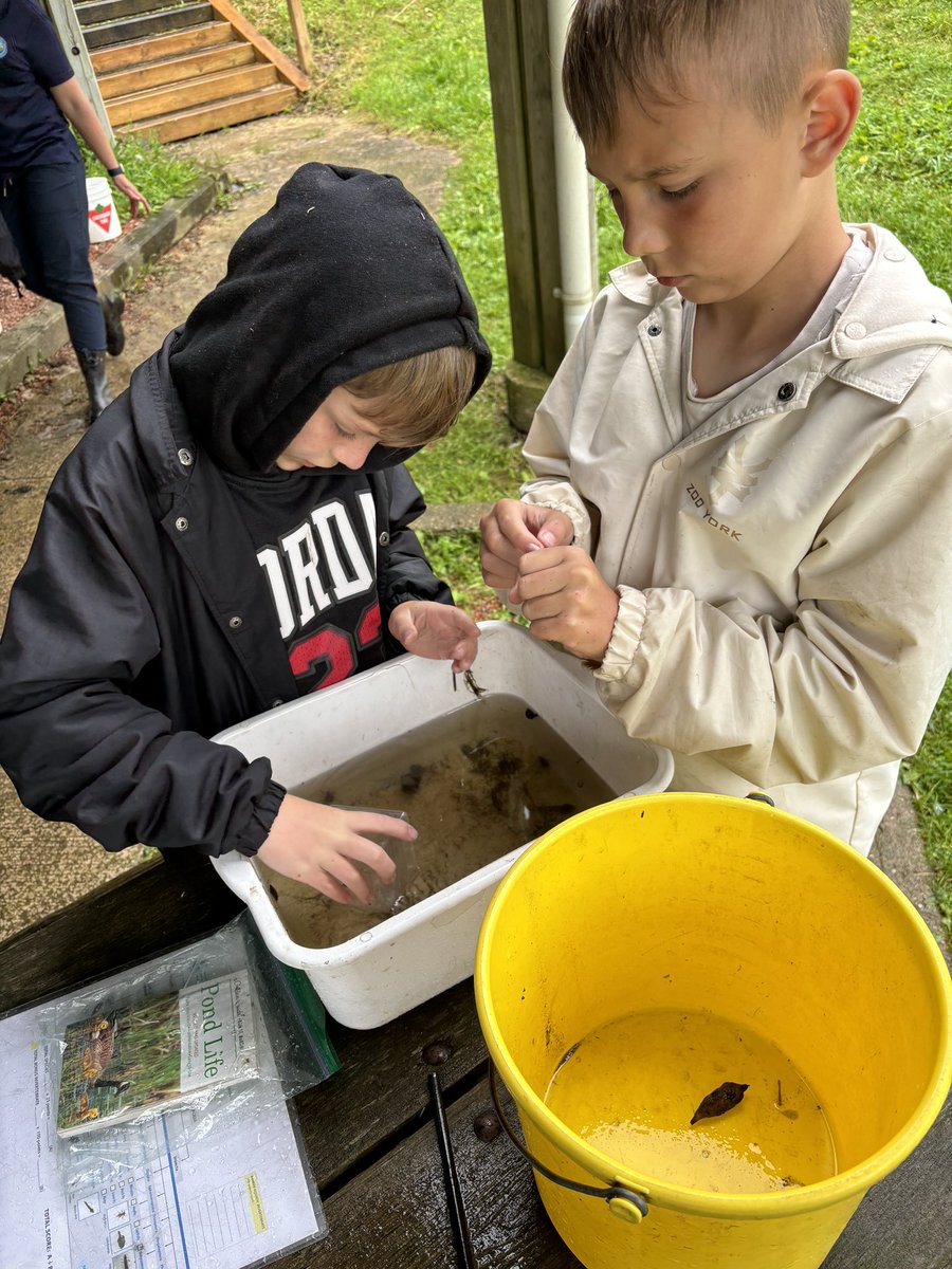 Thank you <a href="/LaurelCreekCC/">Laurel Creek CC</a> for a great day learning about biodiversity 🐠 🌱 🐍 <a href="/MonsignorHaller/">HallerHawks</a>