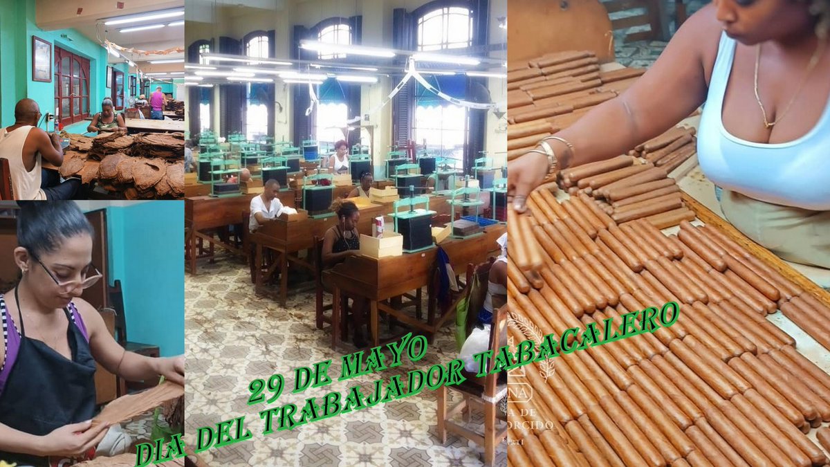 HUpmann_Oficial's tweet photo. #29demayo natalicio de Lázaro Peña González líder del movimiento obrero cubano. En su conmemoración se celebra el día del trabajador tabacalero en Cuba.
Felicitamos a todos los trabajadores de la #EttHupmann y a todo el sector tabacalero. #TabacalerosFielesAsulegado https://t.co/2HzK5vk3G4