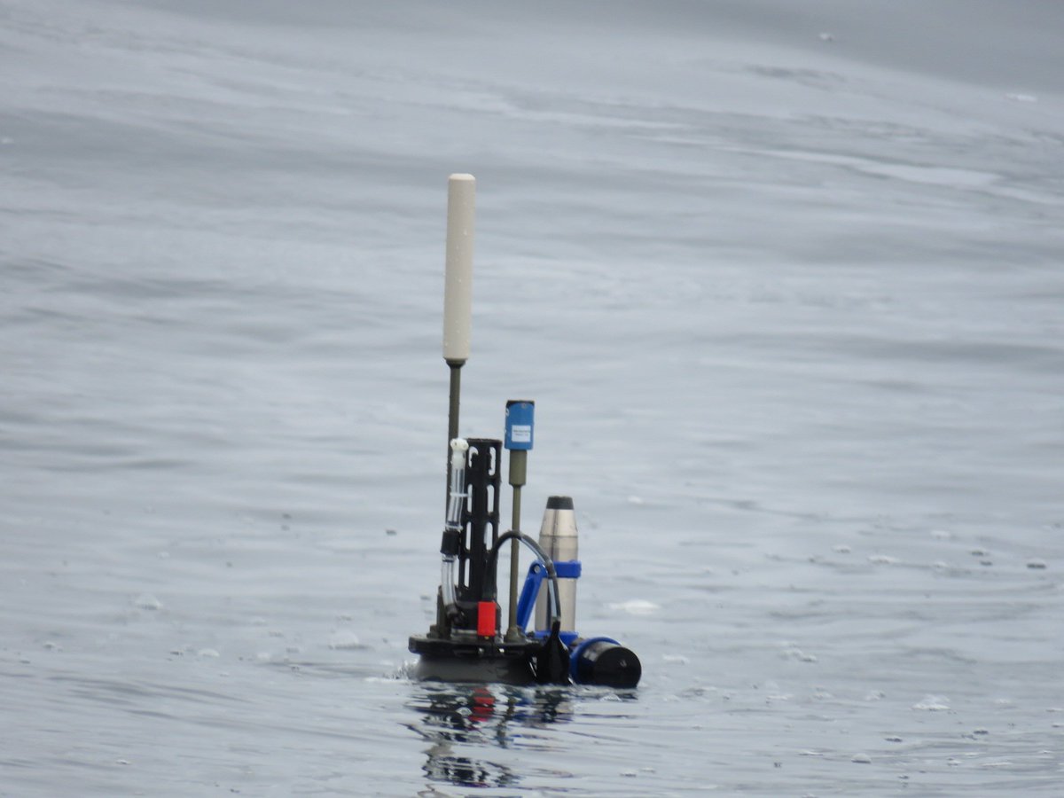 More deployments today #DY180. 3 BGC #argofloats are now in the Iceland basin collecting data to understand better the surface and mid waters of the Atlantic. Au revoir!  @biocarbon_nerc