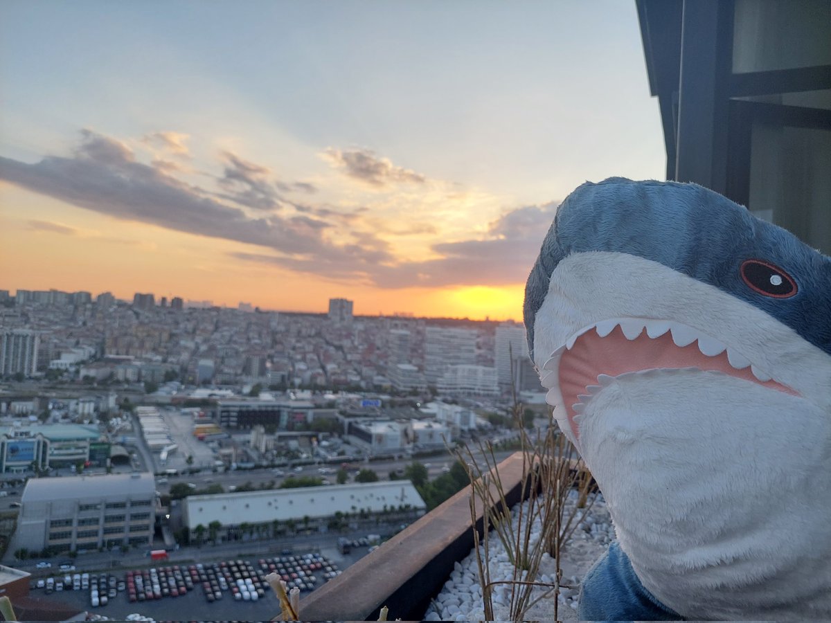 Went to IKEA in Istanbul

Secured the important goods. 🦈