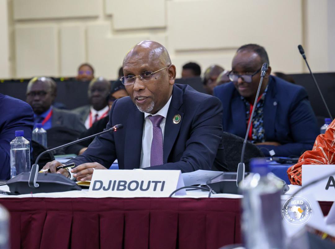 Member state ministers and partners alike commend IGAD, under the leadership of H.E. @DrWorkneh, for its significant contributions toward borderland development. Project presentations were aligned with IGAD-established Clusters (cross-border areas identified by #IGAD experts and