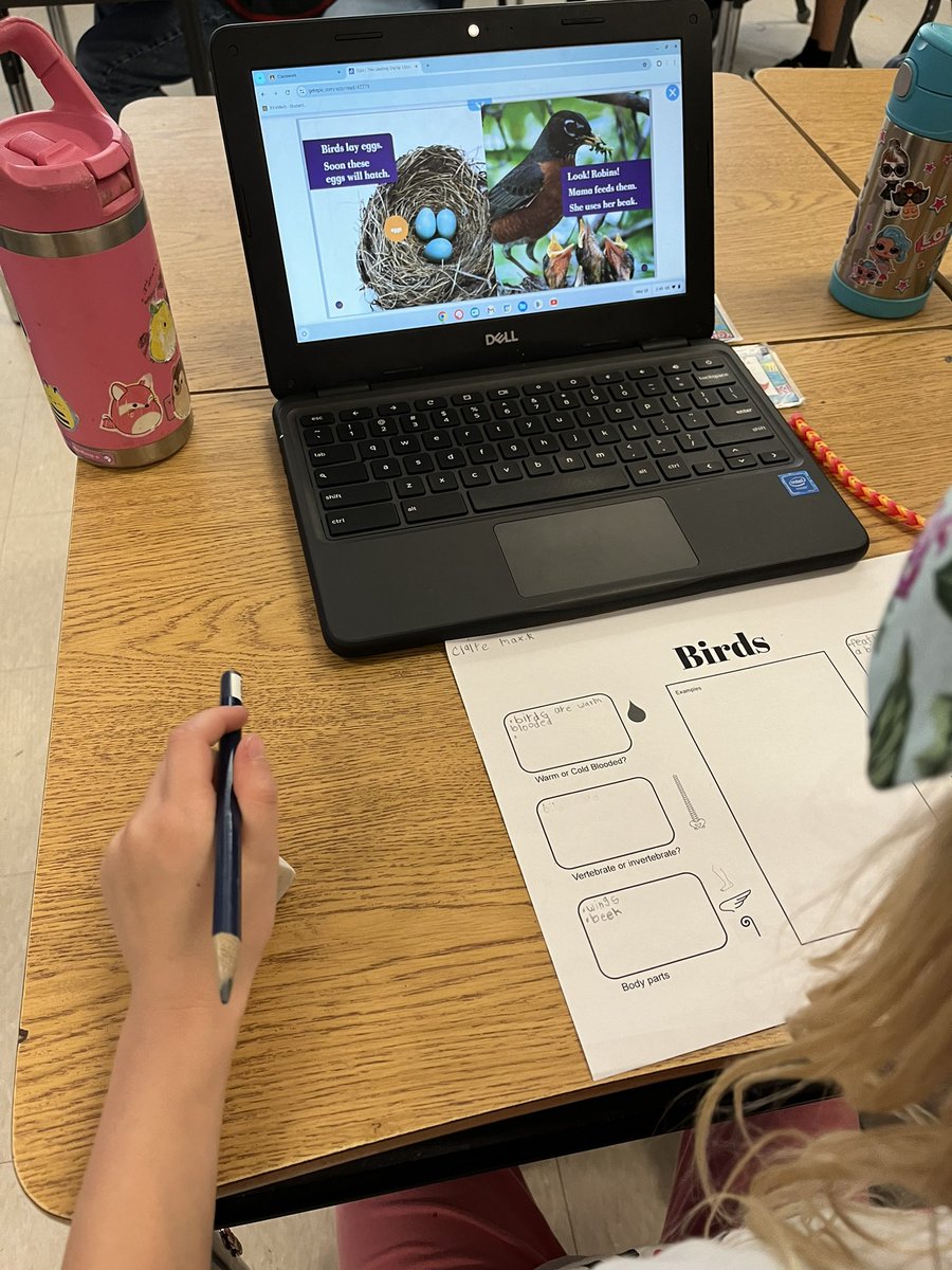 mrandersons_'s tweet photo. We are learning about animal classifications in science today. https://t.co/bPoIGqlMDP