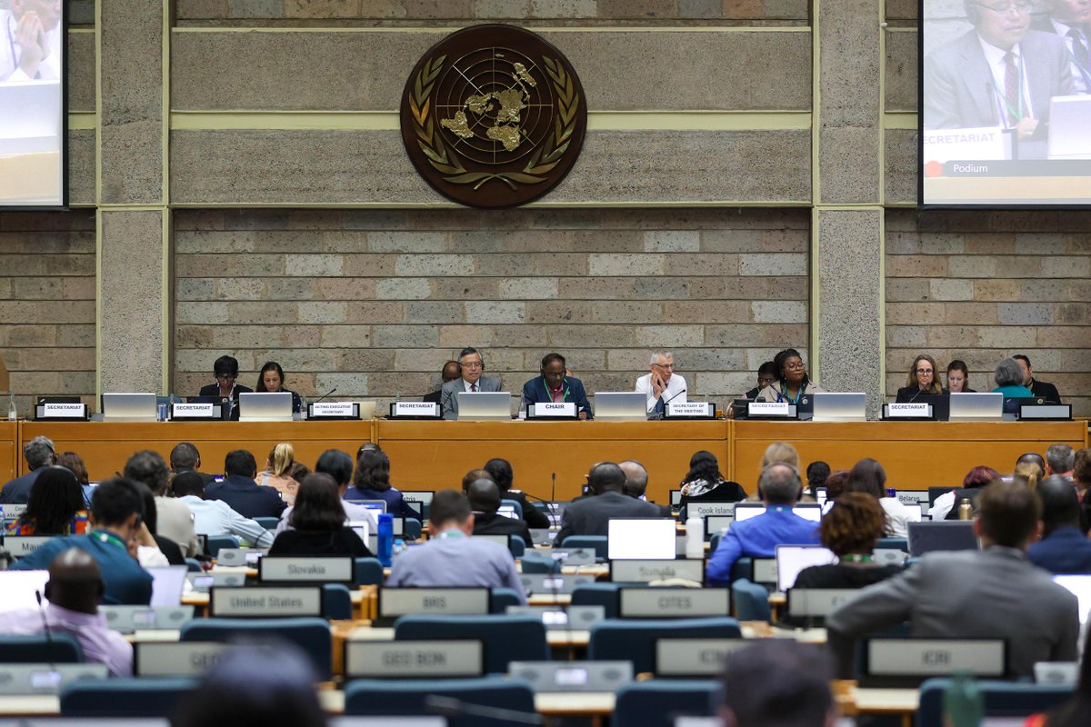 🌱 #SBI4 has entered its final stretch, with the last day being tomorrow. 📄 Stay up to date with what happened this Tuesday during the #NairobiMeetings with @IISD_ENB: enb.iisd.org/cbd-subsidiary… 📸: Mike Muzurakis/@IISD_ENB