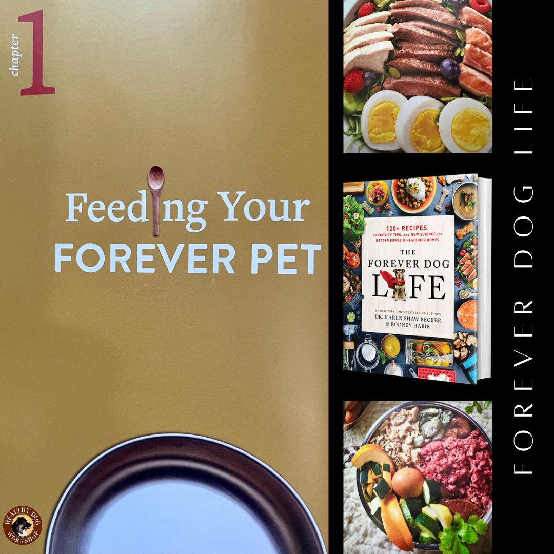 Now that I've had the book for a week, I am more in awe of the amazing content than ever! Since food is the foundation, it's only fitting that it is chapter 1 -- and 2, 3, and 4! Grab your copy at Amazon or your favorite book retailer tinyurl.com/24n7v4tm