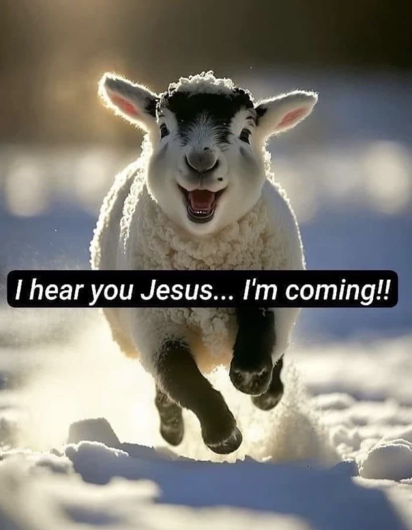 JESUS IS MY SHEPHERD ❤️🌷

#JesusIsComing ❤️#JesusIsLord

Good Night!🌙 😴💤