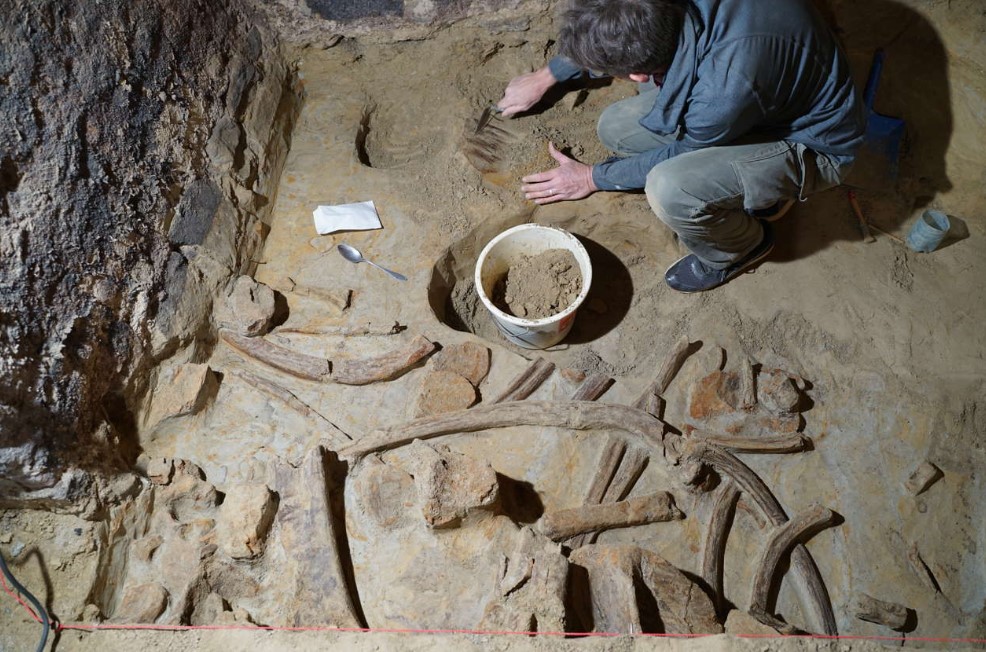 🟠 #Viral 🖱️ | ¿Huesos de #mamut en una bodega?

Remodelando su bodega, el enólogo Andreas Pernerstorfer se encontró restos de varios #mamuts de hace 40 mil años

El Instituto Arqueológico de la Academia de Ciencias de Austria @oeaw calificó este hallazgo como el más