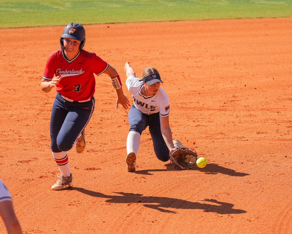 MSH Visual tweet media