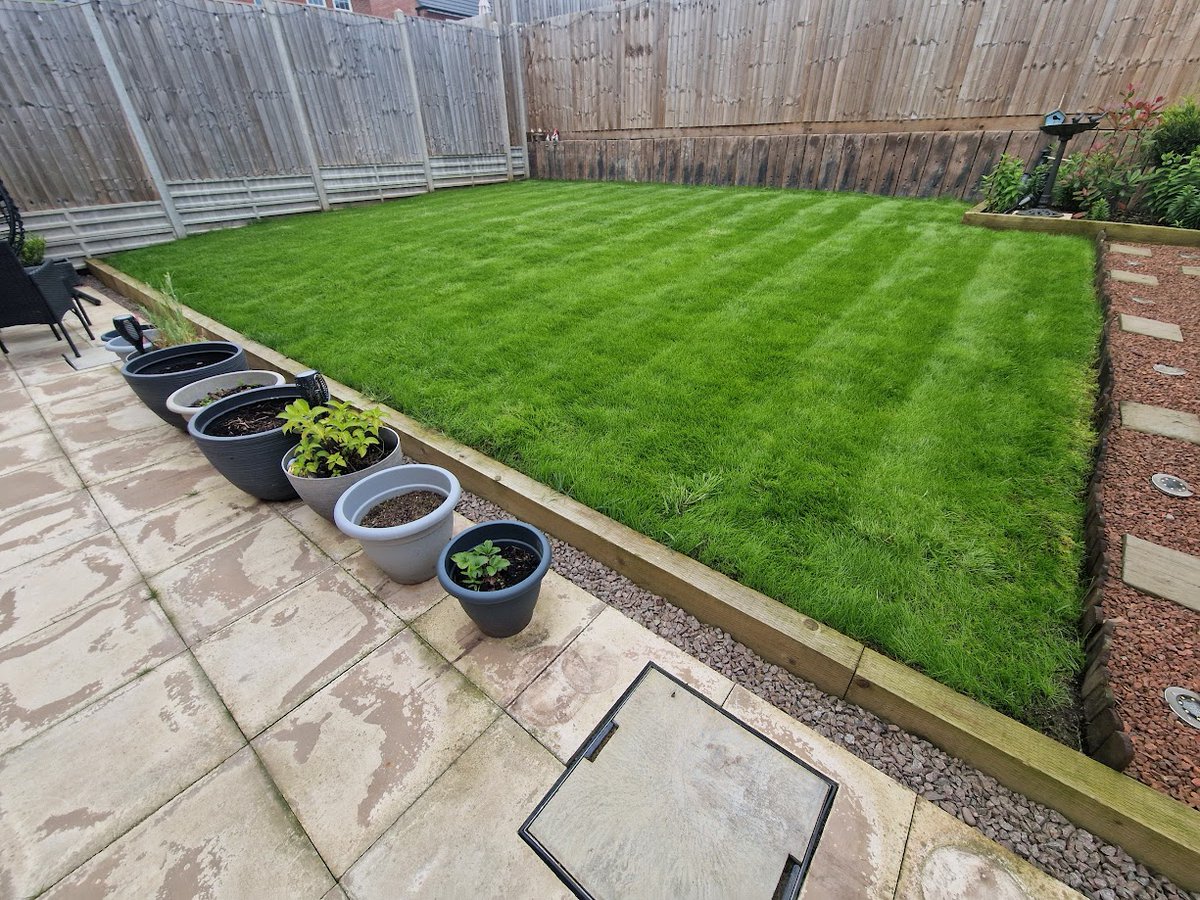 This is our latest #LawnEnvy I have been back to #SBSWinnershour Returned on Saturday and I carried out the repairs on 3rd April, can you see the difference? 😏
