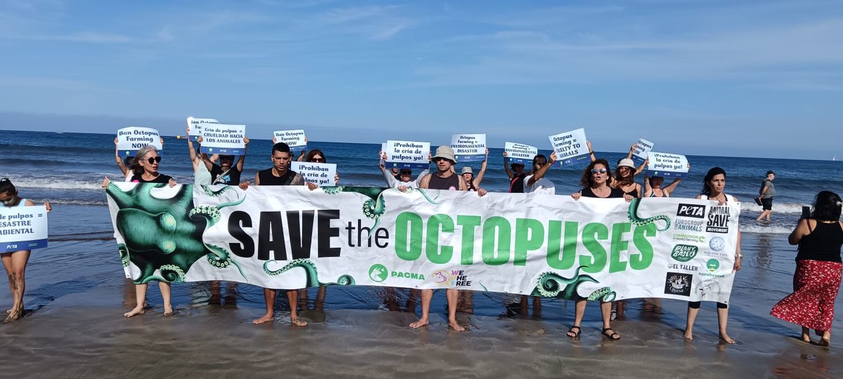 Animal advocates were in Las Palmas to protest against the world’s first octopus farm. #SaveTheOctopuses 🐙
