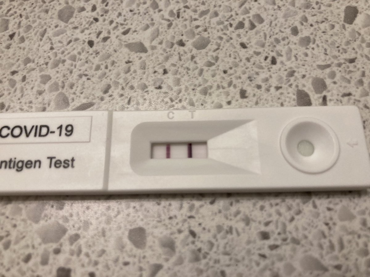 Well, I’d say that’s a pretty clear beacon Crapolla 🤦‍♀️ At least I don’t feel nearly as crummy as my first time Honestly thought it was a mild cold