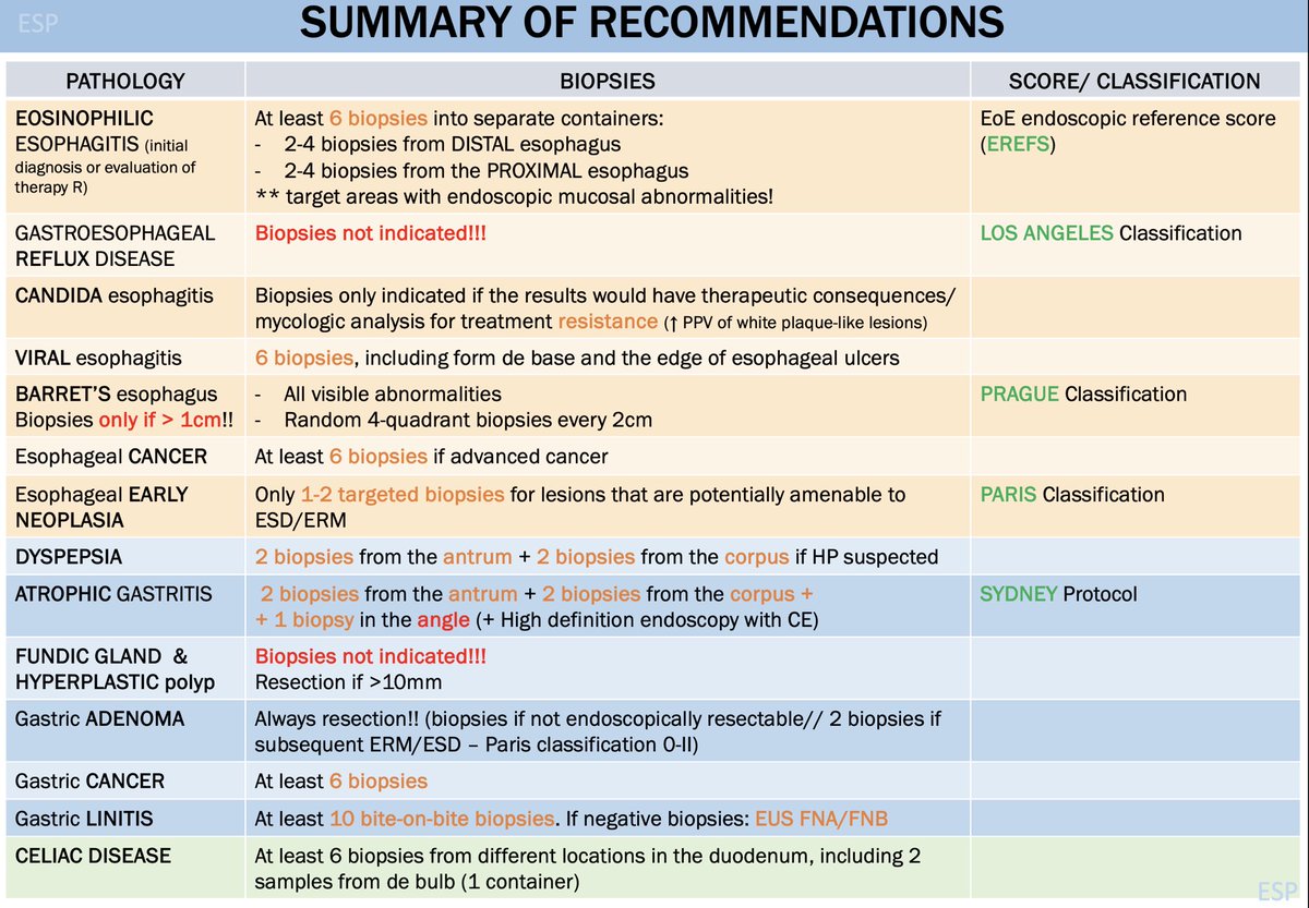 Just reviewed 🔑 from multiple <a href="/ESGE_news/">ESGE</a>  guidelines on #UpperEndoscopy 
➡️📍Specific protocols for each pathology❗️
✒️Multiple biopsies for advanced cancers vs. 1-2 targeted biopsies if EMR/ESD is possible 🍄 
Working with residents is always enriching🔝 #GIEndoscopy #GIFellows